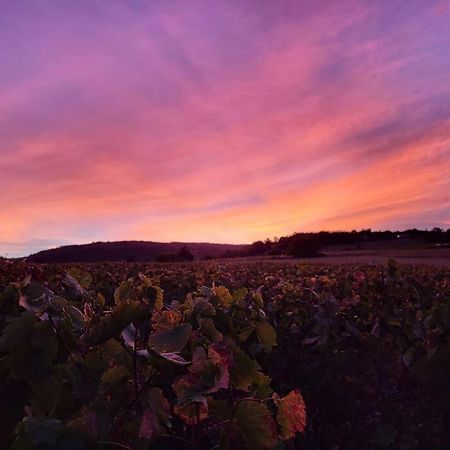 Le Clos Du Botaniste Pouilly-le-Monial Экстерьер фото