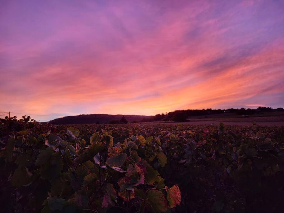 Le Clos Du Botaniste Pouilly-le-Monial Экстерьер фото