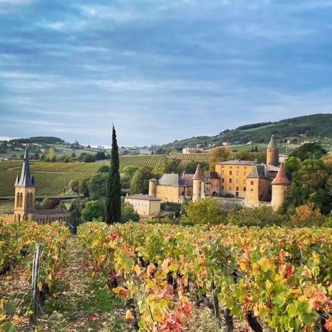 Le Clos Du Botaniste Pouilly-le-Monial Экстерьер фото